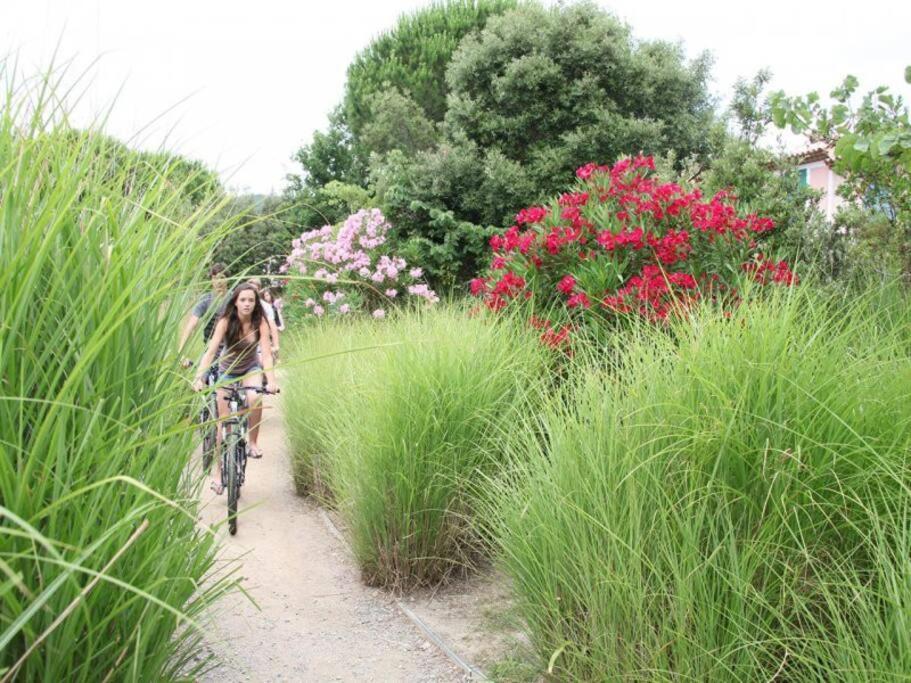Les Restanques Bougainvillee 2051 Grimaud Kültér fotó